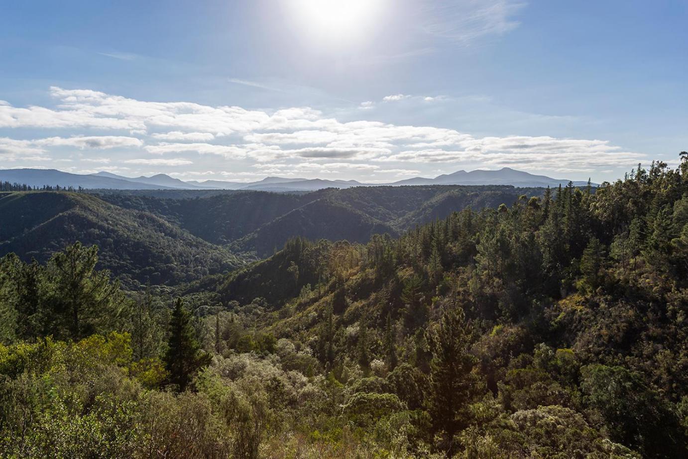 Forest Valley Cottages Knysna Exteriér fotografie